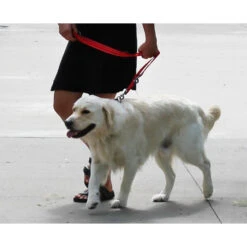 KONG Adjustable Leash -Renskes Shop kong adjustable leash zwart 176941 1000 none