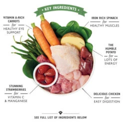 Lily's Kitchen Dog Food - Tin -Renskes Shop lilys kitchen hondenvoer blik 202367 0500 none