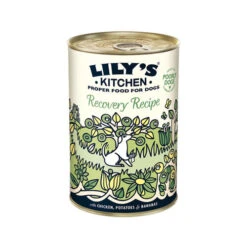 Lily's Kitchen Dog Food - Tin -Renskes Shop lilys kitchen hondenvoer blik 202370 0500 none