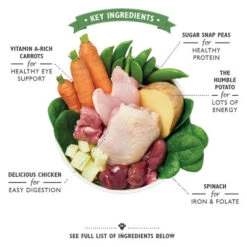 Lily's Kitchen Dog Food - Tin -Renskes Shop lilys kitchen hondenvoer blik 202376 0500 none