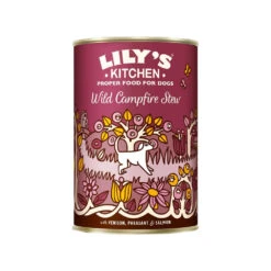 Lily's Kitchen Dog Food - Tin -Renskes Shop lilys kitchen hondenvoer blik wild kampvuur stoofpotje 6 x 400 g 118381 1000 none