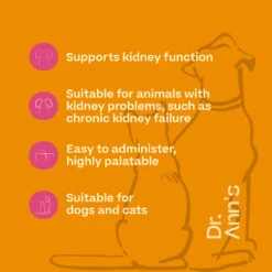 Dr. Ann's Kidney Support -Renskes Shop mFrQNQ3izWU23L2uPbWEHgUU3KCtUr metaUHJvZHVjdHRlZ2VsIEtpZG5leSBTdXBwb3J0IFVLLnBuZw