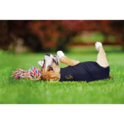 Medical Pet Shirt Dog 15 Medical Pet Shirt Dog -Renskes Shop medical pet shirt hond 149981 2000 none