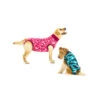Suitical Recovery Suit For Dogs - Camouflage 2 Suitical Recovery Suit For Dogs - Camouflage -Renskes Shop phmxyBY2FjLSnj0CB2Nj5HQQvGamUs metacHJvZHVjdF9yZWNvdmVyeV9zdWl0X2hvbmRfbWVkcGV0c180XzE0MzA5MTQ2NjhfMTAxNDAuanBn