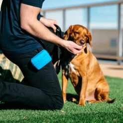 Popware Pooch Pouch Treatbag 11 Popware Pooch Pouch Treatbag -Renskes Shop popware pooch pouch treatbag 164698 2000 none