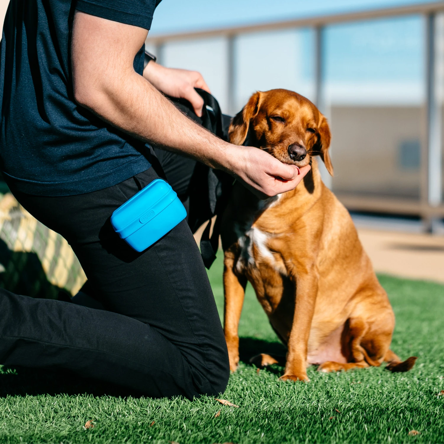 Popware Pooch Pouch Treatbag 7 Popware Pooch Pouch Treatbag - Image 5