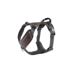 DOG Copenhagen Comfort Walk Pro™ Harness -Renskes Shop prod 15938 220292 1000 none
