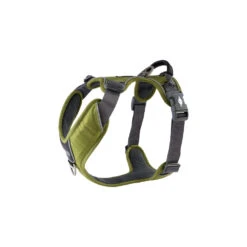 DOG Copenhagen Comfort Walk Pro™ Harness -Renskes Shop prod 15938 220293 1000 none