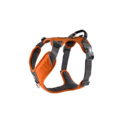 DOG Copenhagen Comfort Walk Pro™ Harness -Renskes Shop prod 15938 220294 1000 none