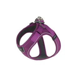 DOG Copenhagen Comfort Walk Go™ Harness 26 DOG Copenhagen Comfort Walk Go™ Harness -Renskes Shop prod 15940 220323 1000 none