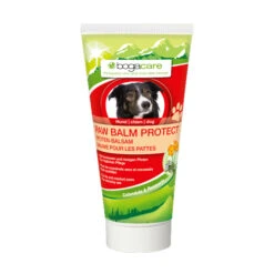 Bogacare Paw Balm Protect 5 Bogacare Paw Balm Protect -Renskes Shop product bogacare paw balm protect hond 50 ml none 4 1472542717 34458