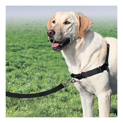 PetSafe Easy Walk Harness 8 PetSafe Easy Walk Harness - Image 6