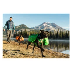 Ruffwear Approach Pack 21 Ruffwear Approach Pack -Renskes Shop product ruffwear approach pack none 4 1489677652 84736