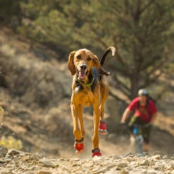 Ruffwear Grip Trex Boots -Renskes Shop product ruffwear grip trex boots none 4 1487254284 83488