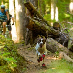 Ruffwear Grip Trex Boots -Renskes Shop product ruffwear grip trex boots none 4 1487254307 83497