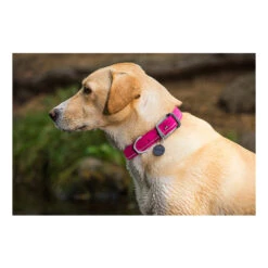 Ruffwear Headwater Collar -Renskes Shop product ruffwear headwater collar none 4 1487775433 83755