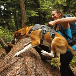 Ruffwear Webmaster Harness -Renskes Shop product ruffwear webmaster harness none 4 1471947180 76768