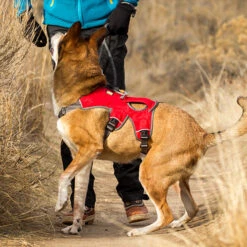 Ruffwear Webmaster Harness -Renskes Shop product ruffwear webmaster harness none 4 1471947298 76771