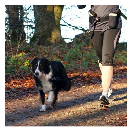 Trixie Waist Belt With Leash - Image 3