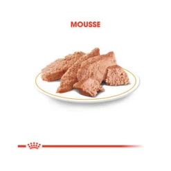 Biofood Royal Canin Chihuahua Adult Wet - Dog Food -Renskes Shop royal canin chihuahua adult hundefutter frischebeutel 2