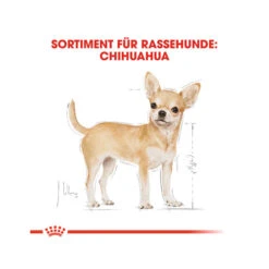 Biofood Royal Canin Chihuahua Adult Wet - Dog Food -Renskes Shop royal canin chihuahua adult hundefutter frischebeutel 3