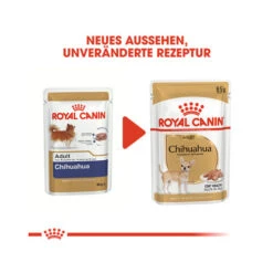 Biofood Royal Canin Chihuahua Adult Wet - Dog Food -Renskes Shop royal canin chihuahua adult hundefutter frischebeutel 4