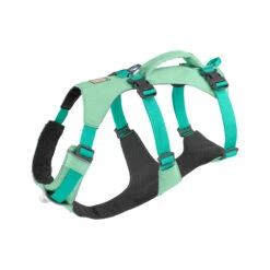 Ruffwear Flagline Harness 26 Ruffwear Flagline Harness -Renskes Shop ruffwear flagline harnas 196121 2000 none