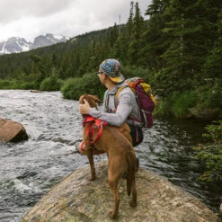 Ruffwear Front Range Harness -Renskes Shop ruffwear front range harness 155879 0500 none