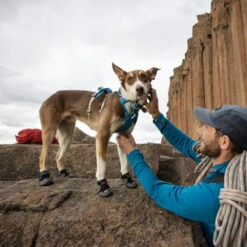 Ruffwear Grip Trex Boots -Renskes Shop ruffwear grip trex boots 204740 0500 none