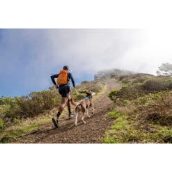 Ruffwear Hi & Light Harness 17 Ruffwear Hi & Light Harness -Renskes Shop ruffwear hi light harness 196016 2000 none