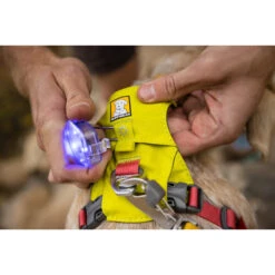Ruffwear Hi & Light Harness 22 Ruffwear Hi & Light Harness -Renskes Shop ruffwear hi light harness 196031 2000 none