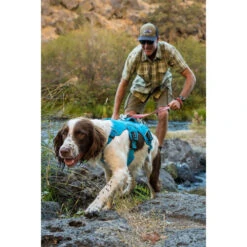 Ruffwear Webmaster Harness -Renskes Shop ruffwear webmaster harness 204665 0500 none