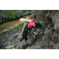 Ruffwear Webmaster Harness -Renskes Shop ruffwear webmaster harness 204671 0500 none