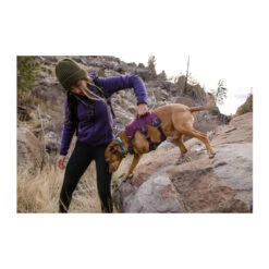 Ruffwear Webmaster Harness -Renskes Shop ruffwear webmaster harness 217109 2000 none