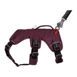 Ruffwear Webmaster Harness -Renskes Shop ruffwear webmaster harness 217110 2000 none