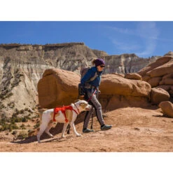 Ruffwear Webmaster Harness -Renskes Shop ruffwear webmaster harness 217118 2000 none