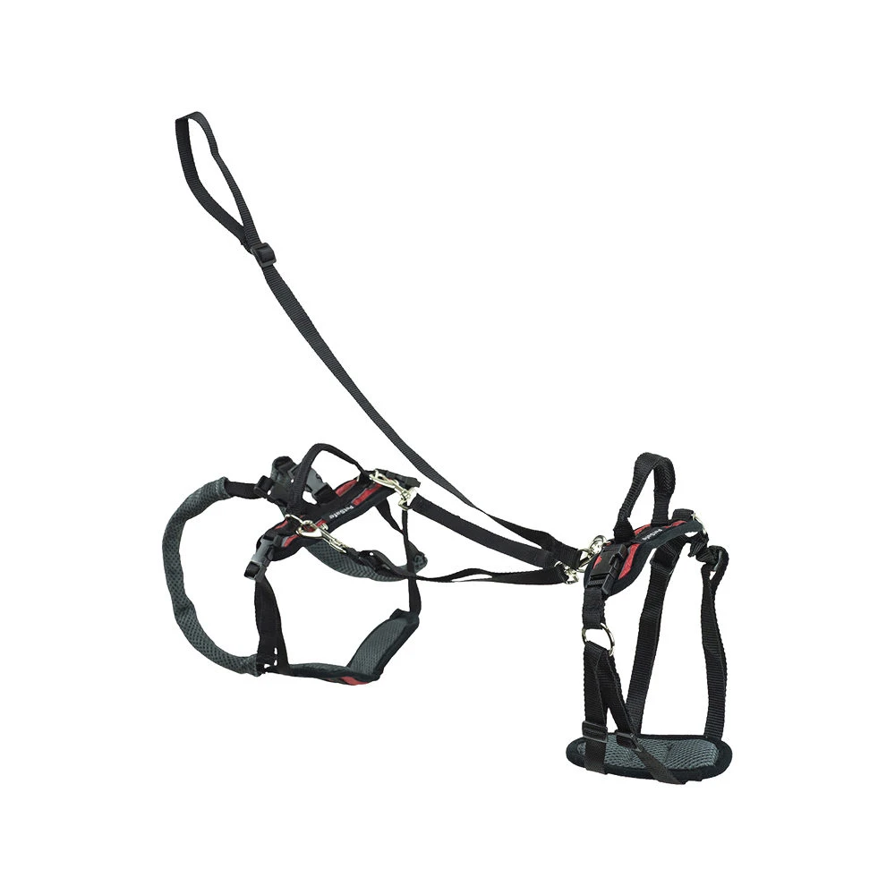PetSafe Carelift - Lift Harness 3 PetSafe Carelift - Lift Harness