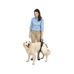 PetSafe Carelift - Lift Harness 22 PetSafe Carelift - Lift Harness -Renskes Shop solvit carelift draagsysteem voor de hond 163702 1000 none