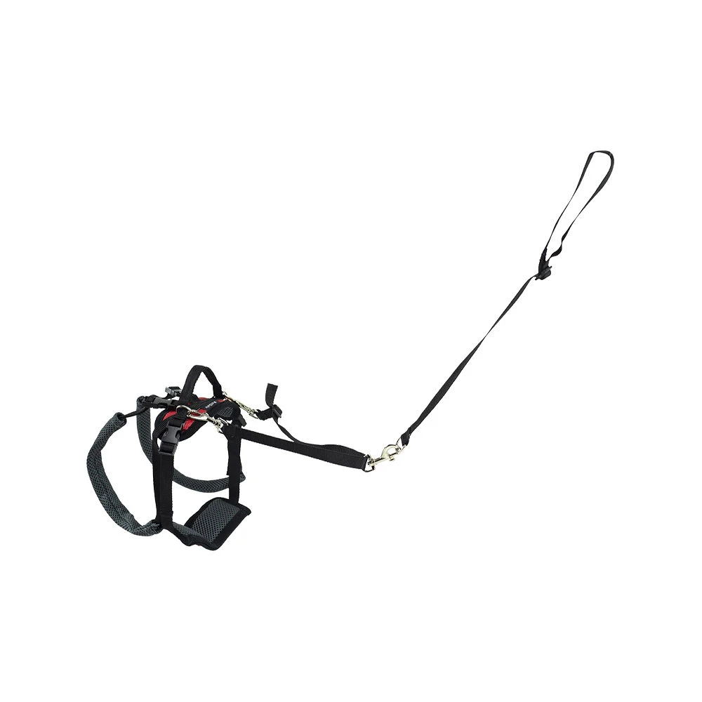 PetSafe Carelift - Lift Harness 9 PetSafe Carelift - Lift Harness - Image 7