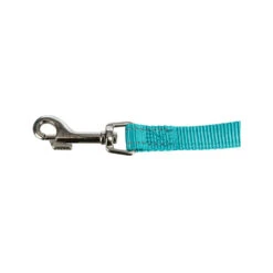 Trixie Waist Belt With Lead -Renskes Shop trixie buikriem met lijn 200882 1000 none