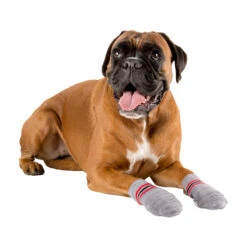 Trixie Dog Socks -Renskes Shop trixie hondensokken 99323 2000 none