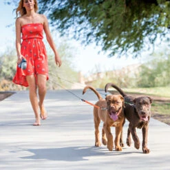 Wigzi Dual Doggie 2.0 -Renskes Shop wigzi dual doggie 20 167836 1500 none