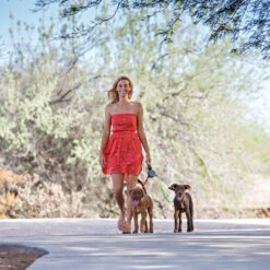 Wigzi Dual Doggie 2.0 -Renskes Shop wigzi dual doggie 20 167839 1500 none