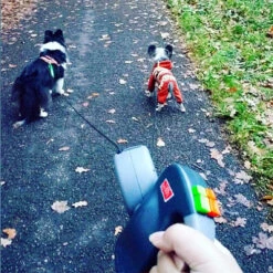 Wigzi Dual Doggie 3.0 -Renskes Shop wigzi dual doggie 30 167845 0500 none