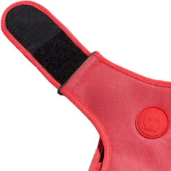 Zee.Dog Adjustable Air Mesh Harness -Renskes Shop zeedog adjustable air mesh harness 215576 1000 none