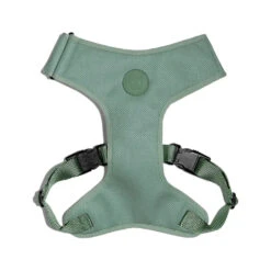 Zee.Dog Adjustable Air Mesh Harness -Renskes Shop zeedog adjustable air mesh harness 215606 1000 none