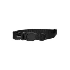 Zee.Dog Dog Collar -Renskes Shop zeedog dog collar 200606 1500 none