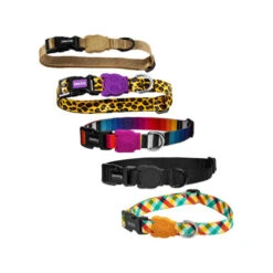 Zee.Dog Dog Collar -Renskes Shop zeedog dog collar 200612 0500 none