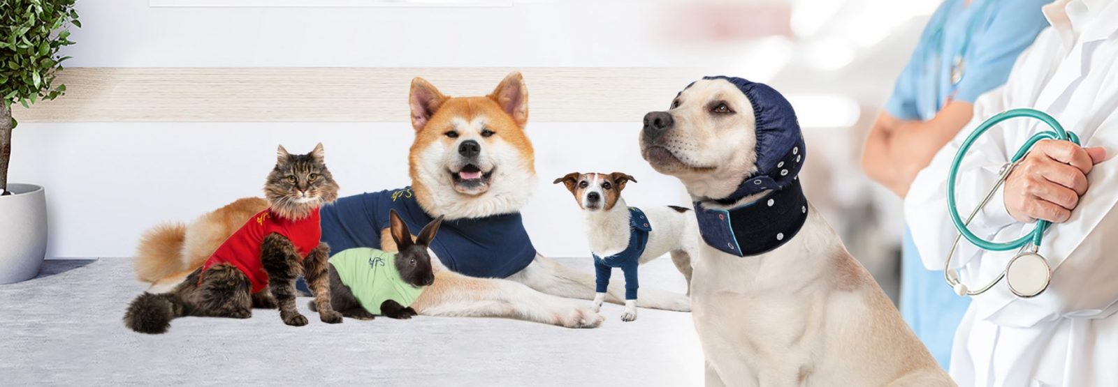 Renskes Shop -Renskes Shop home header 2022 1600x555 c default